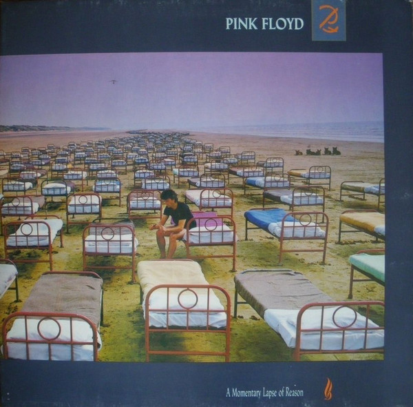 A Momentary Lapse Of Reason